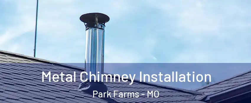 Metal Chimney Installation Park Farms - MO