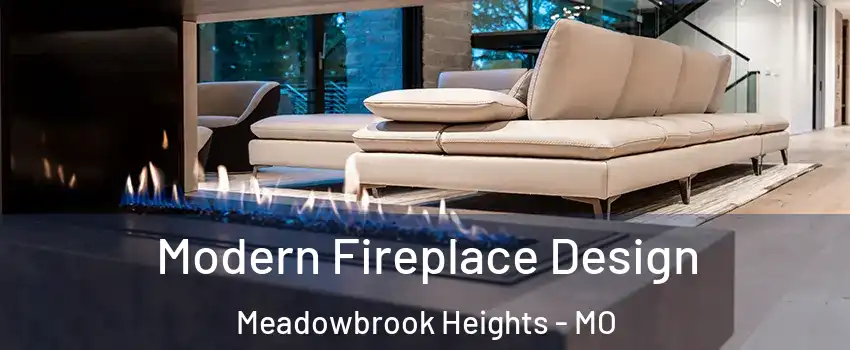 Modern Fireplace Design Meadowbrook Heights - MO