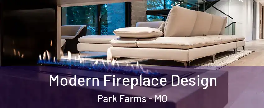 Modern Fireplace Design Park Farms - MO