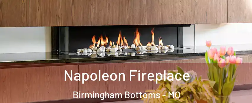 Napoleon Fireplace Birmingham Bottoms - MO
