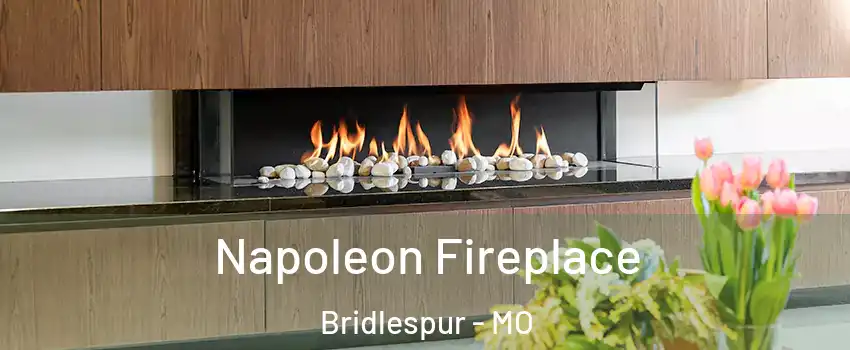 Napoleon Fireplace Bridlespur - MO