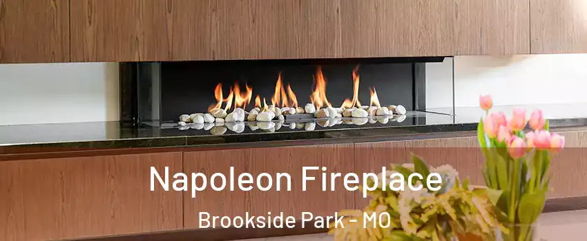 Napoleon Fireplace Brookside Park - MO