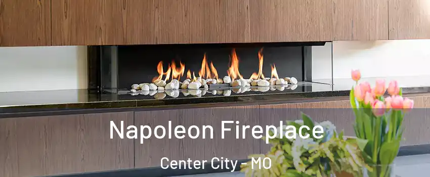 Napoleon Fireplace Center City - MO