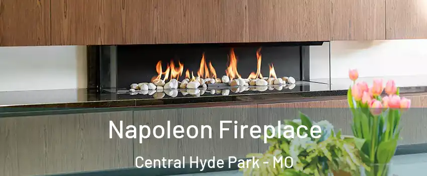 Napoleon Fireplace Central Hyde Park - MO