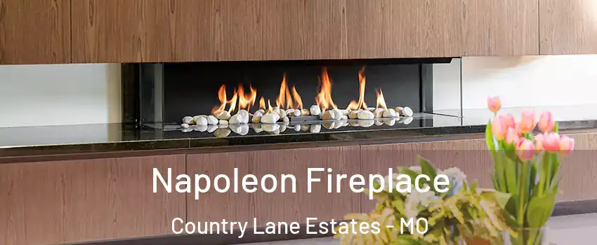 Napoleon Fireplace Country Lane Estates - MO