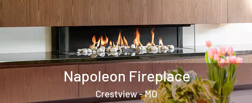 Napoleon Fireplace Crestview - MO
