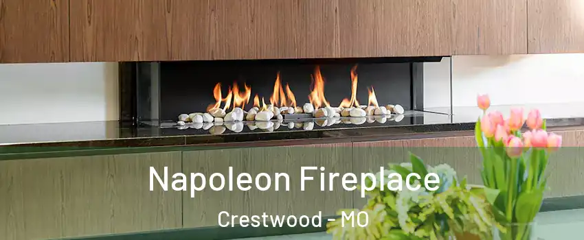 Napoleon Fireplace Crestwood - MO