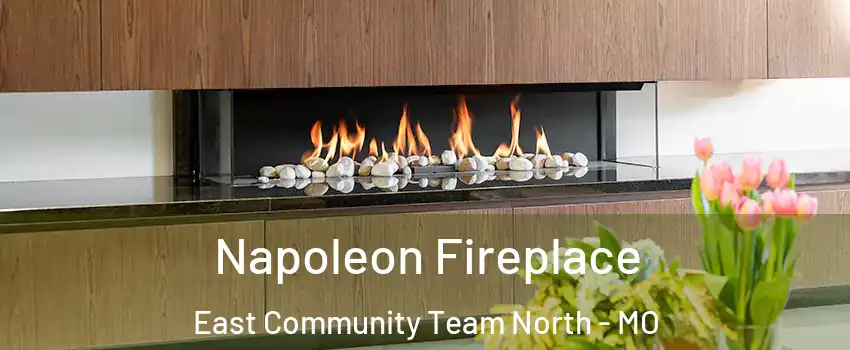 Napoleon Fireplace East Community Team North - MO