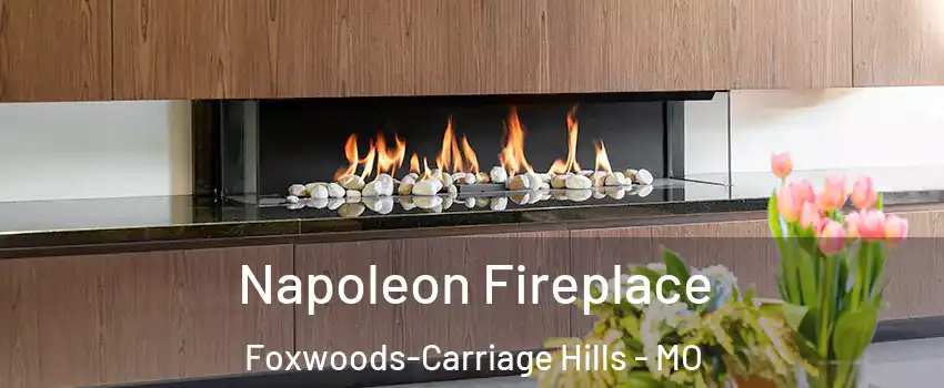 Napoleon Fireplace Foxwoods-Carriage Hills - MO