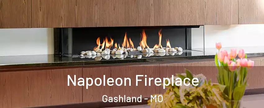 Napoleon Fireplace Gashland - MO
