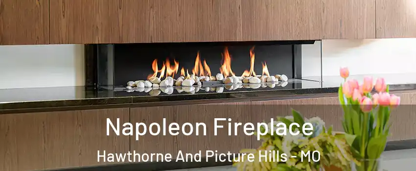Napoleon Fireplace Hawthorne And Picture Hills - MO