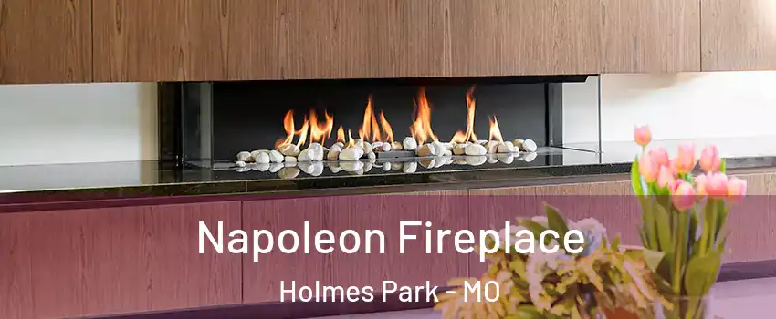 Napoleon Fireplace Holmes Park - MO