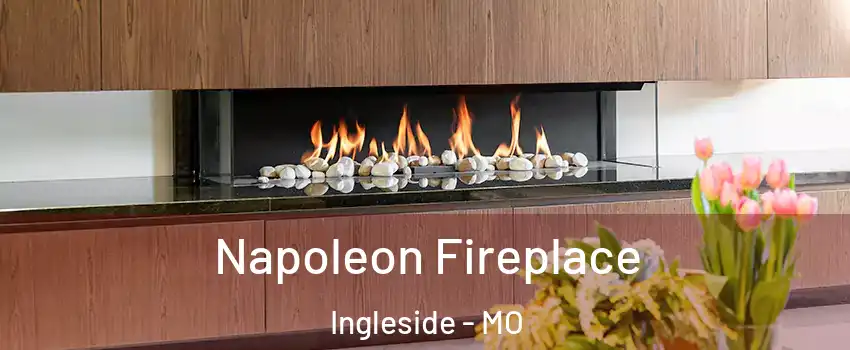 Napoleon Fireplace Ingleside - MO