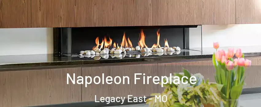 Napoleon Fireplace Legacy East - MO