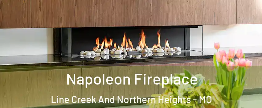 Napoleon Fireplace Line Creek And Northern Heights - MO