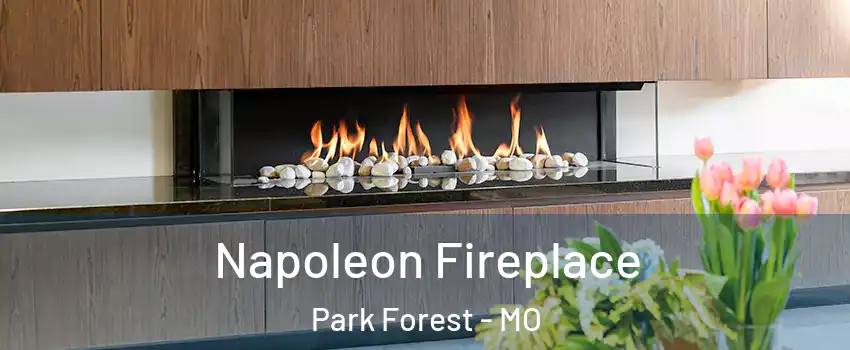 Napoleon Fireplace Park Forest - MO