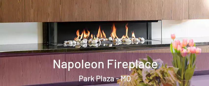 Napoleon Fireplace Park Plaza - MO