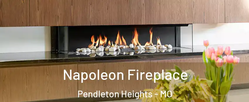 Napoleon Fireplace Pendleton Heights - MO