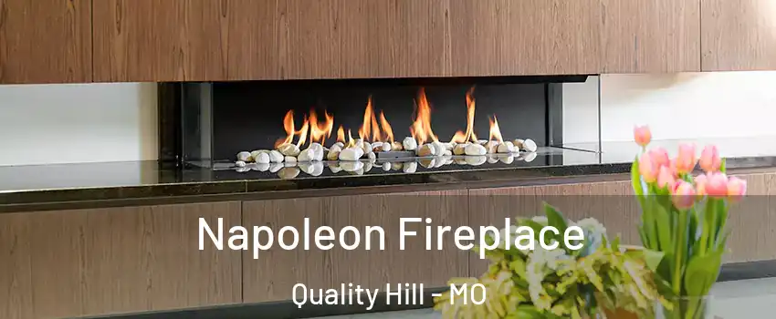 Napoleon Fireplace Quality Hill - MO