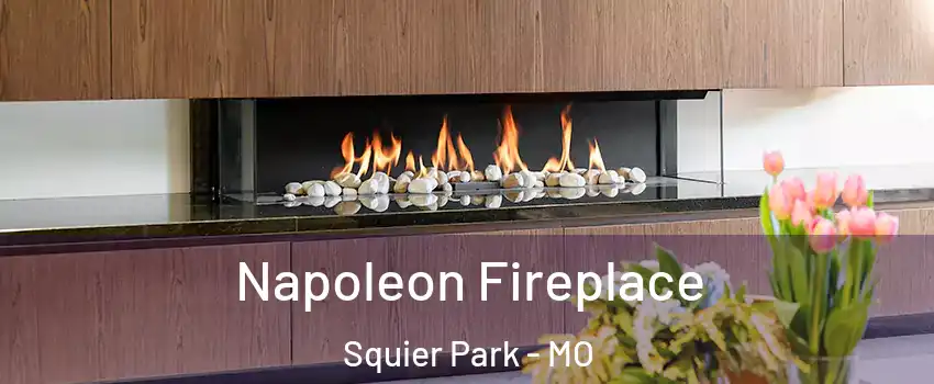 Napoleon Fireplace Squier Park - MO