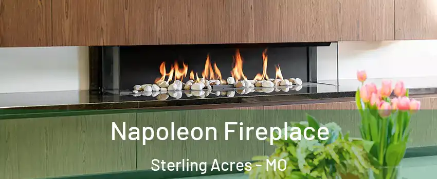 Napoleon Fireplace Sterling Acres - MO