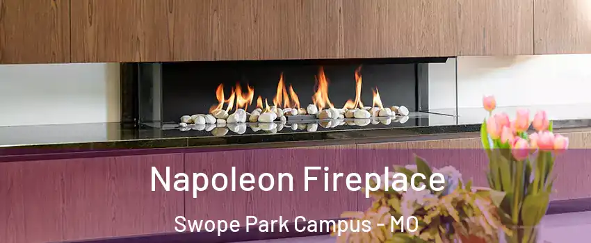 Napoleon Fireplace Swope Park Campus - MO