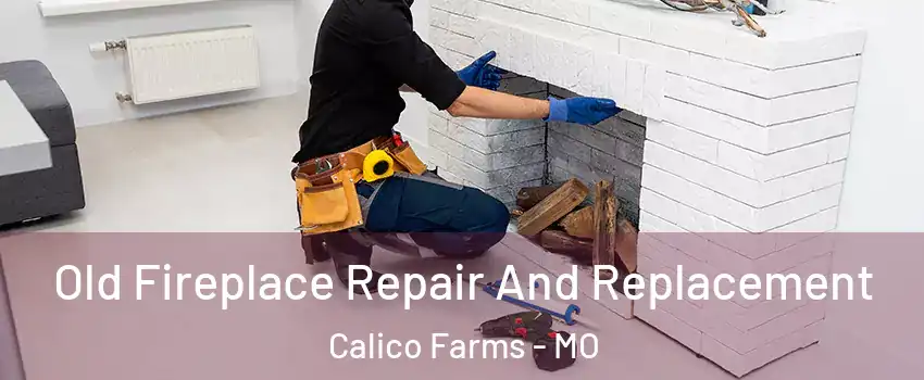 Old Fireplace Repair And Replacement Calico Farms - MO