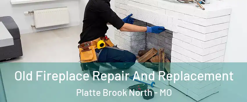 Old Fireplace Repair And Replacement Platte Brook North - MO