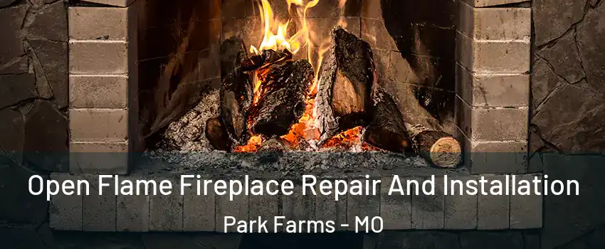 Open Flame Fireplace Repair And Installation Park Farms - MO