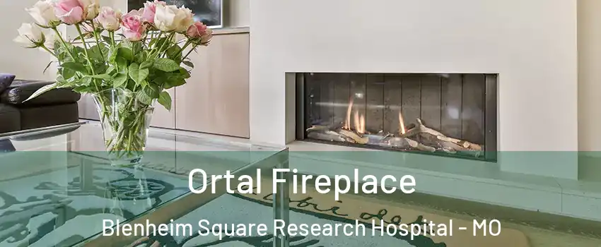 Ortal Fireplace Blenheim Square Research Hospital - MO