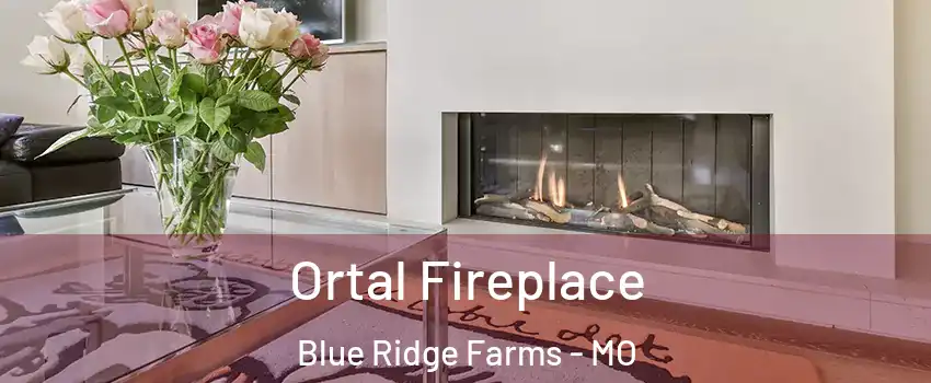 Ortal Fireplace Blue Ridge Farms - MO