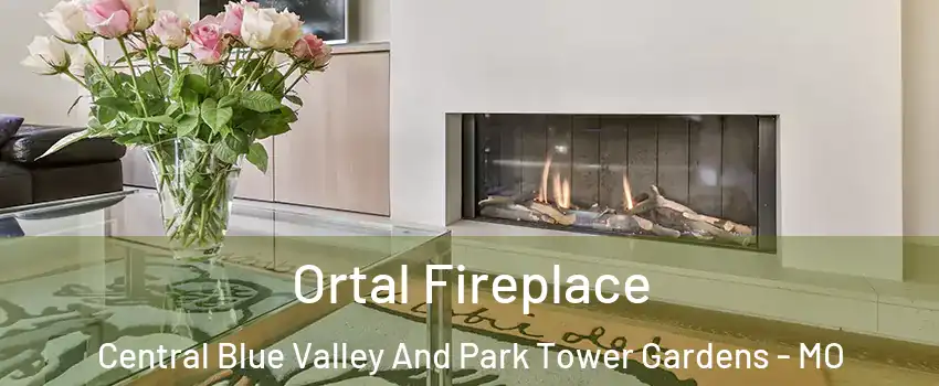 Ortal Fireplace Central Blue Valley And Park Tower Gardens - MO