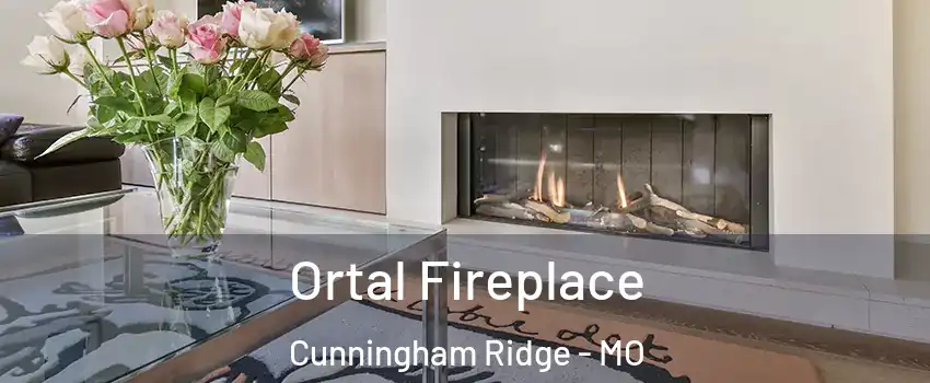 Ortal Fireplace Cunningham Ridge - MO