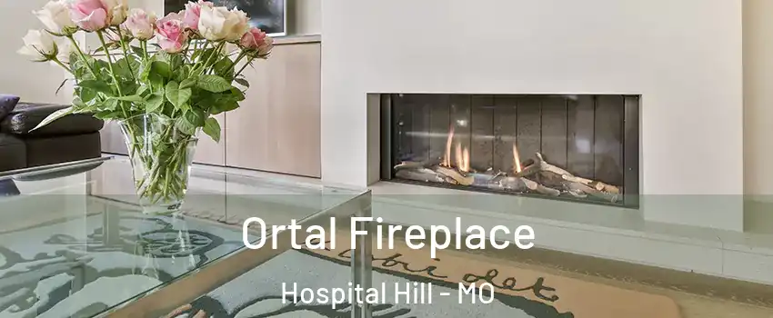 Ortal Fireplace Hospital Hill - MO