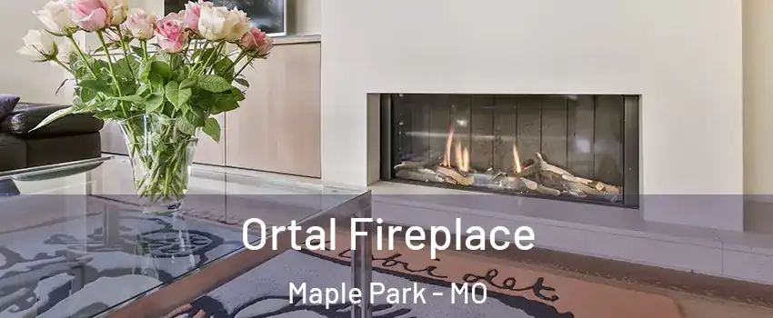 Ortal Fireplace Maple Park - MO