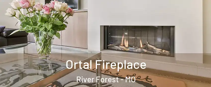 Ortal Fireplace River Forest - MO