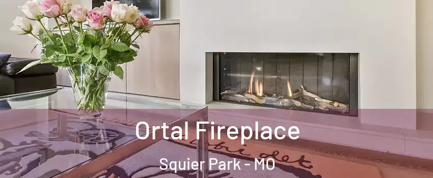Ortal Fireplace Squier Park - MO