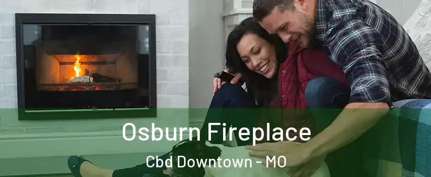 Osburn Fireplace Cbd Downtown - MO