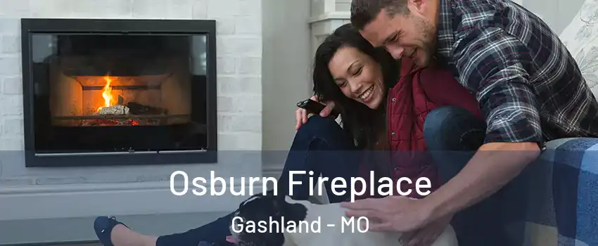 Osburn Fireplace Gashland - MO