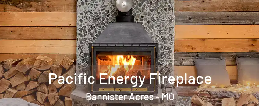 Pacific Energy Fireplace Bannister Acres - MO