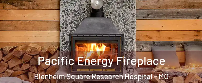 Pacific Energy Fireplace Blenheim Square Research Hospital - MO