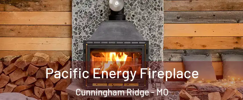 Pacific Energy Fireplace Cunningham Ridge - MO