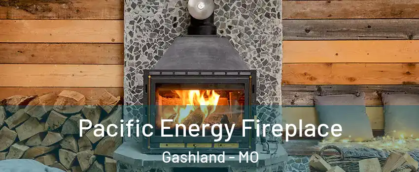 Pacific Energy Fireplace Gashland - MO