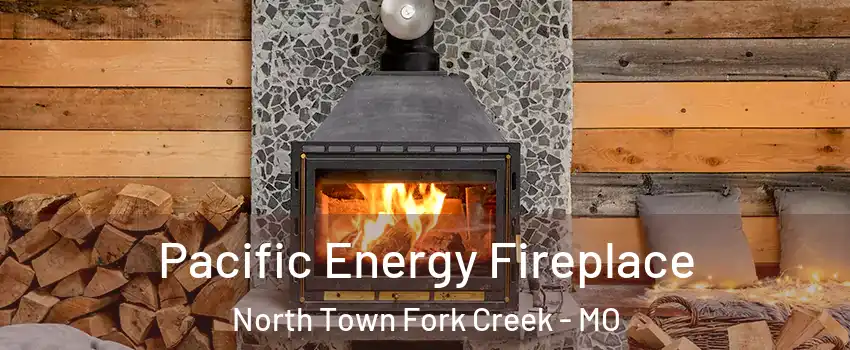 Pacific Energy Fireplace North Town Fork Creek - MO