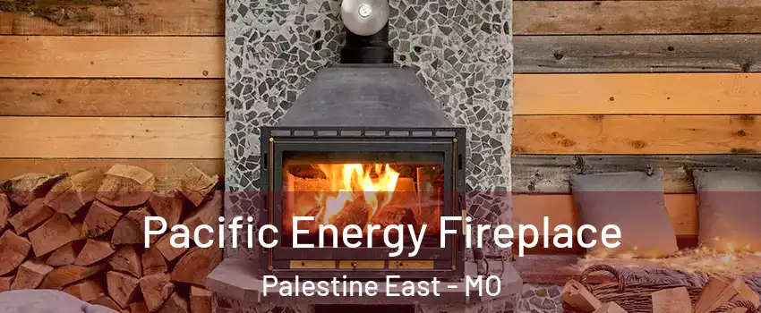 Pacific Energy Fireplace Palestine East - MO