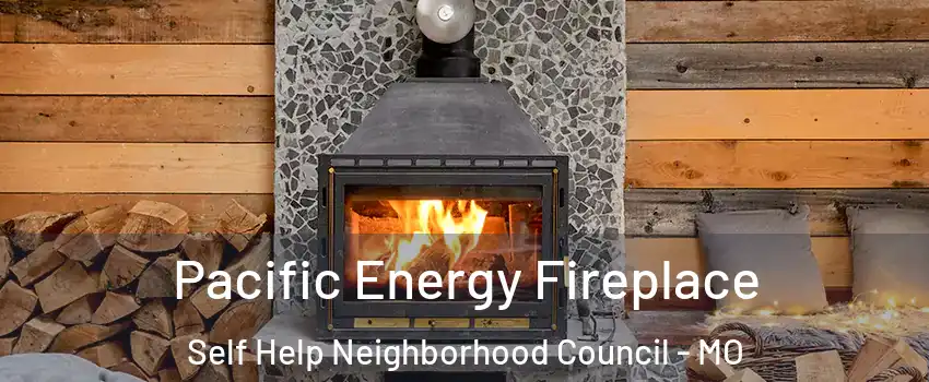 Pacific Energy Fireplace Self Help Neighborhood Council - MO