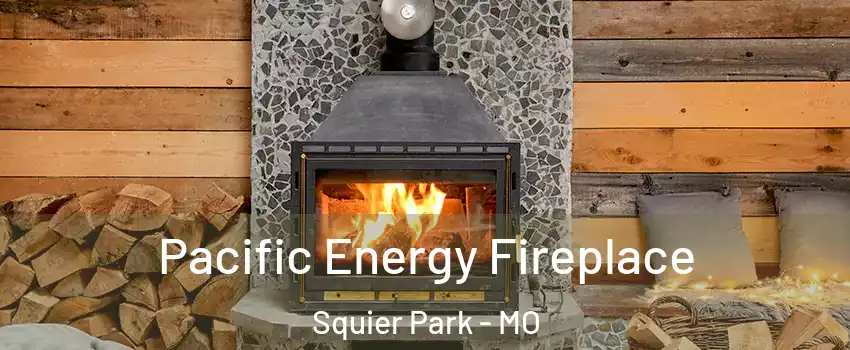 Pacific Energy Fireplace Squier Park - MO