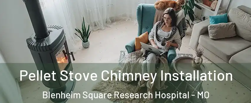 Pellet Stove Chimney Installation Blenheim Square Research Hospital - MO