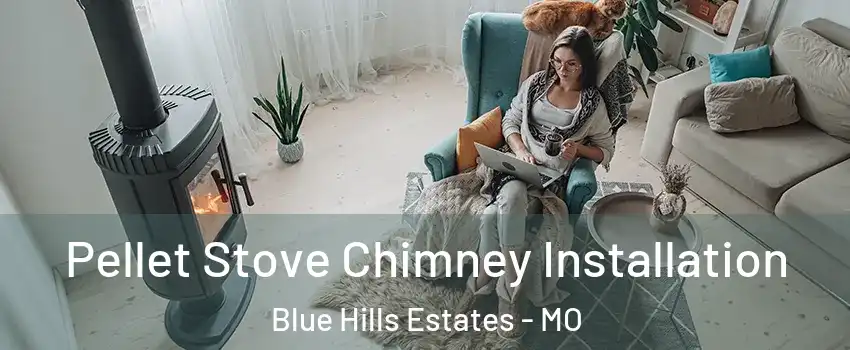 Pellet Stove Chimney Installation Blue Hills Estates - MO