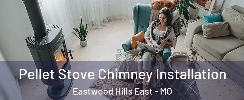 Pellet Stove Chimney Installation Eastwood Hills East - MO